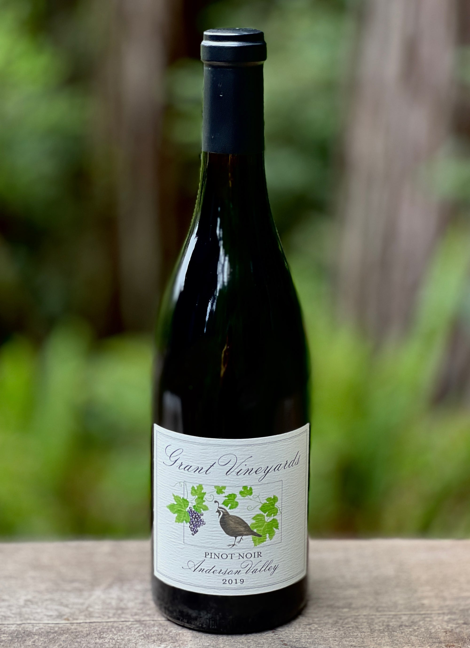 2019 Grant Vineyards Pinot Noir